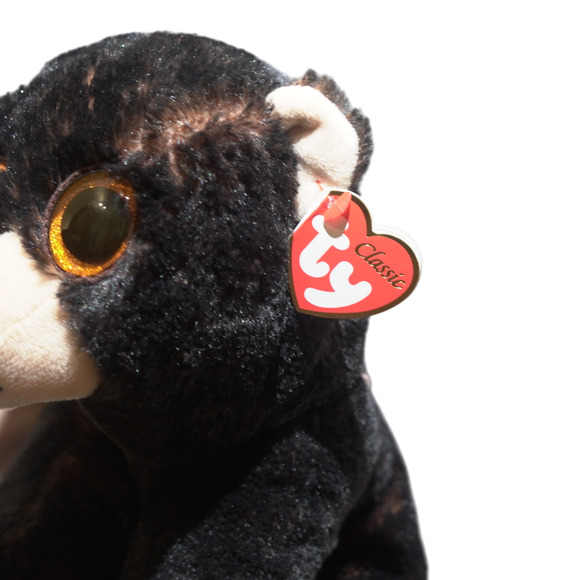 TY Medium Classic Plush KODI Kodiak Black Bear Medium 10" NEW Stuffed Animal Toy - Picture 4 of 16